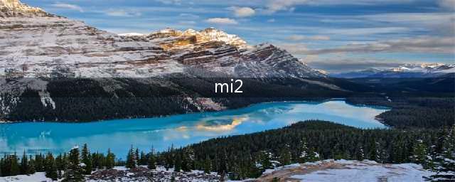 还记得唱《勇敢爱》Mi2组合吗？曾说女方成年就结婚，现状曝光(mi2)