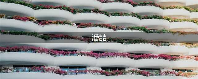 “80后”潘喆已任兰州市委常委、市委组织部部长(潘喆)