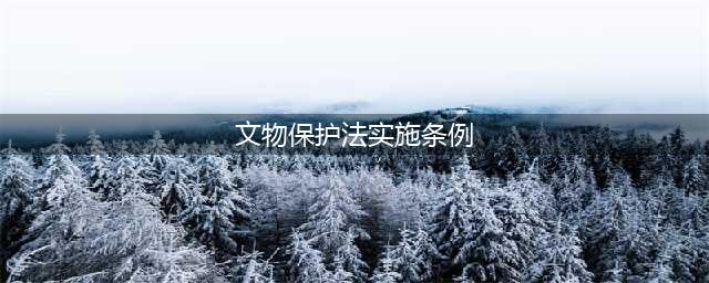 《中华人民共和国文物保护法实施条例》(文物保护法实施条例)