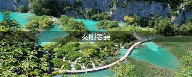 秦刚任外交部部长！王晓萍已任人社部部长(秦刚老婆)