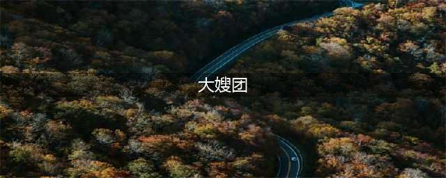 「大嫂团」爆红(大嫂团)