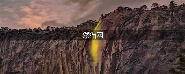 然猫网的那些黑历史，资金盘骗局频频发生(然猫网)