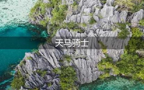 《火焰纹章风花雪月》天马骑士兵种能力怎么样 天马骑士兵种能力介绍(天马骑士)