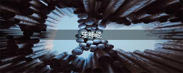 抽牙神经到底有多恐怖？(牙神经)