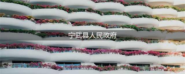 宁武县人民政府慰问山西省管涔山国有林管理局林草防火专业队(宁武县人民政府)