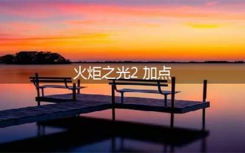《火炬之光2》漂泊者怎么加点 漂泊者加点方法介绍(火炬之光2 加点)