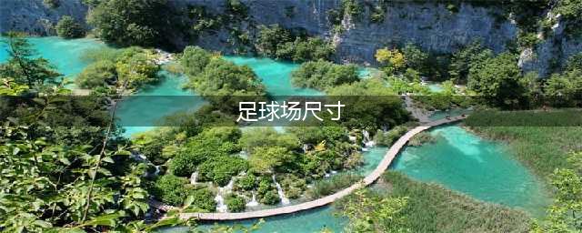 标准足球场尺寸有多大？(足球场尺寸)