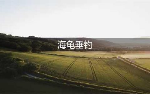 《魔兽世界》海龟垂钓成就怎么做 海龟垂钓成就分享(海龟垂钓)