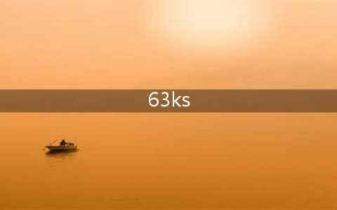 63KS64集成电路 Grayhill品牌 编码器(63ks)