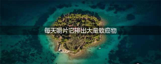 坚持每天嚼片它 排出大量致癌物(每天嚼片它排出大量致癌物)