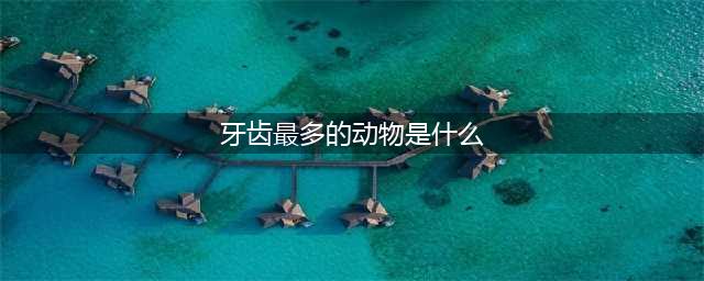 地球上牙齿最多的10种动物！(牙齿最多的动物是什么)