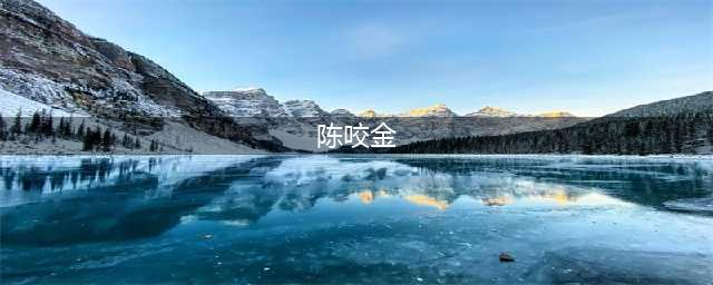 《王者荣耀》陈咬金技能解析 陈咬金出装铭文推荐(陈咬金)
