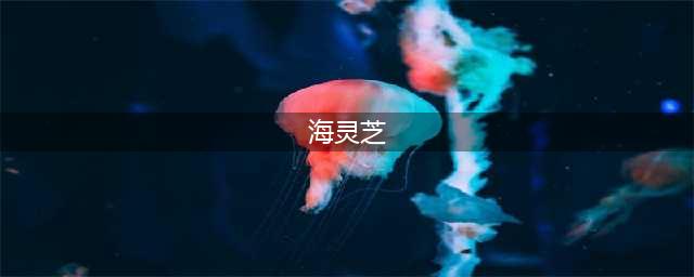 海里还长灵芝？长知识了！(海灵芝)