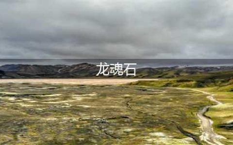 《全民养恐龙》龙魂石怎么用 龙魂石使用方法介绍(龙魂石)