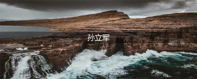 孙立军案开庭：被控受贿、操纵证券市场、非法持有枪支(孙立军)