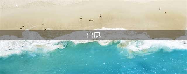 时隔四年，KT携鲁尼的亚洲行有点不同(鲁尼)