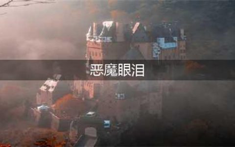 盗贼之海恶魔眼泪是什么 恶魔眼泪位置在哪