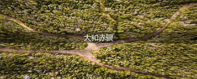 《赛马娘》B级大和赤骥培养教程 大和赤骥怎么培养(大和赤骥)