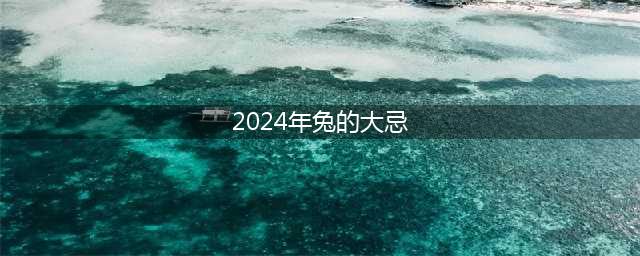 2024年属兔的人要忌讳什么(2024年兔的大忌)