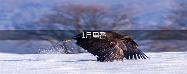 即将到来的2021年1月番有哪些，你最期待哪一部呢？(1月里番)