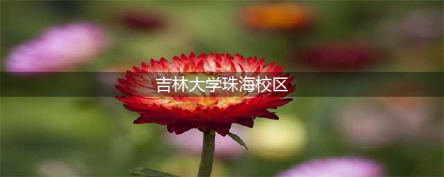 重磅！“吉林大学珠海校区”来了！(吉林大学珠海校区)