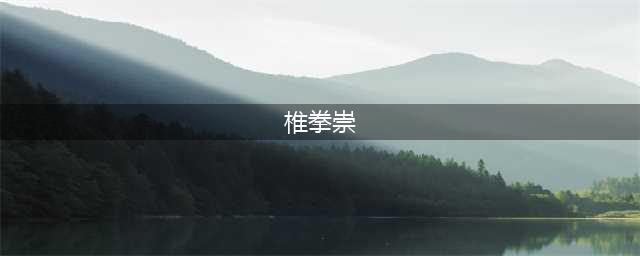 拳魂觉醒椎拳崇怎么得 椎拳崇获取攻略(椎拳崇)