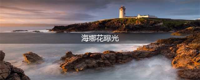 胡懿懿缅北炒作翻车，半月涨粉30w收入可观，聊天记录曝光被揭穿(海娜花曝光)