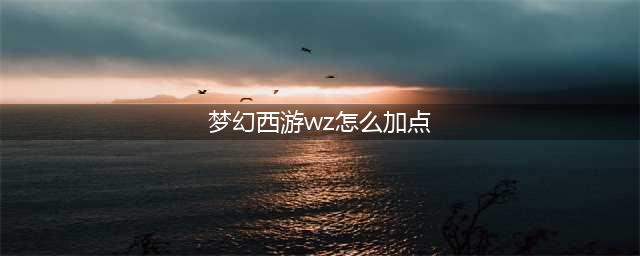 《梦幻西游》五庄观怎么加点好 五庄观加点技巧攻略