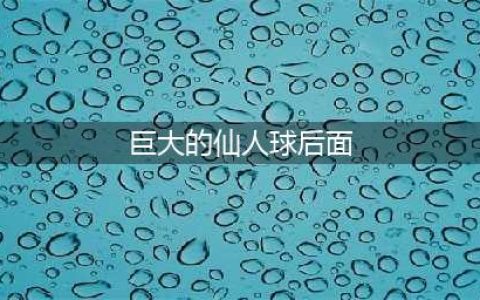 《航海王热血航线》巨大仙人球位置一览 巨大仙人球位置在哪(巨大的仙人球后面)