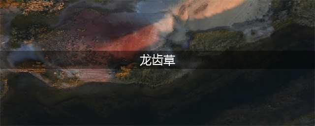 WOW怀旧服WLK龙齿草位置介绍