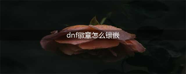 《dnf》徽章如何镶嵌 徽章镶嵌方法(dnf徽章怎么镶嵌)