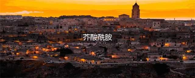 内常见爽滑剂品-芥酸酰胺(芥酸酰胺)