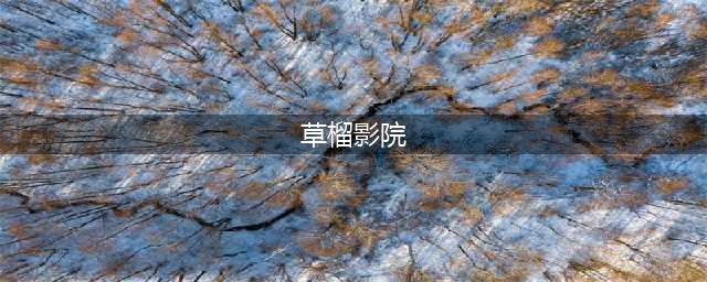 色情网站草榴4名骨干落网 卖邀请码获利40余万(草榴影院)