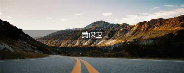 黄保卫：昔时警界大佬，今日主动投案(黄保卫)