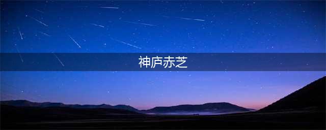 药食同源—神庐赤芝 防治百症引领生态保健潮流(神庐赤芝)