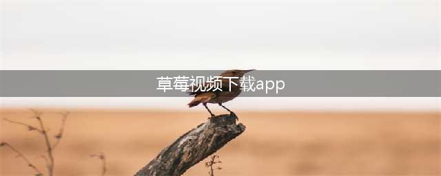 草莓视频-是一个能让您随时随地享受优质影视(草莓视频下载app)