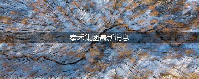 泰禾集团：公司涉及三起重大诉讼案件，执行标的5.46亿元(泰禾集团最新消息)