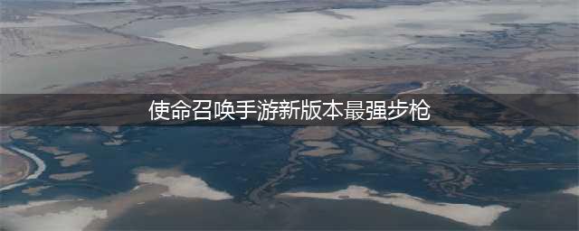 使命召唤手游最强步枪是什么