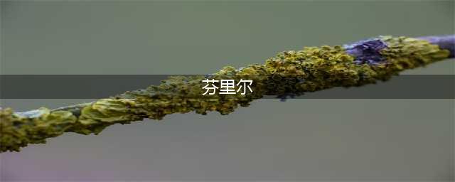 《米德加德部落》狼王芬里尔打法攻略介绍(芬里尔)