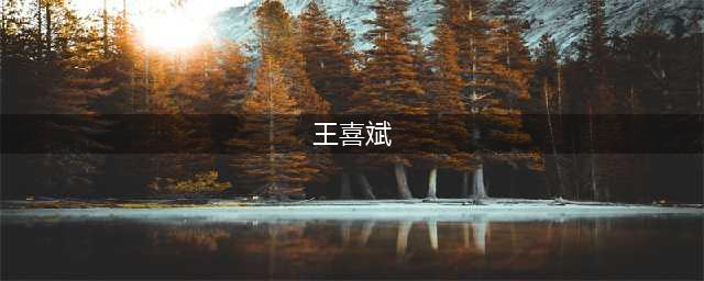国防大学原校长王喜斌涉嫌职务犯罪，揭三大落马上将的“秘密”(王喜斌)