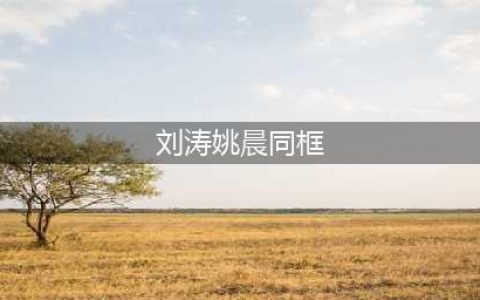 刘涛、姚晨罕见同框，两人同穿黑色吊带裙，气质身材真不是一般好(刘涛姚晨同框)
