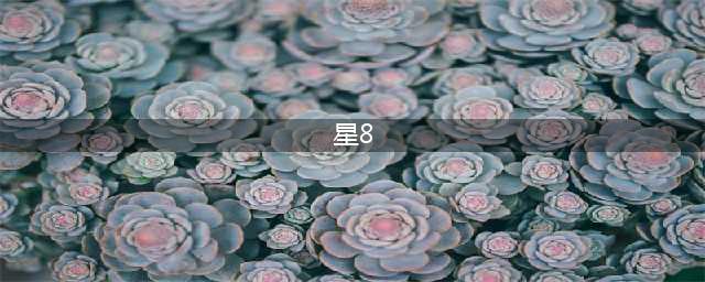 U零点丨星8来了！你还等什么？(星8)