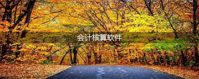 会计常用的财务软件有哪些？主流财务软件排行榜前十名(会计核算软件)