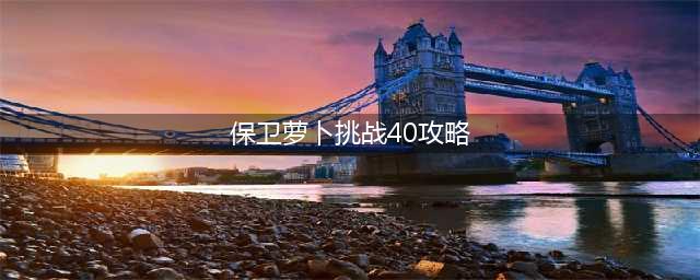 保卫萝卜4第40关攻略(保卫萝卜挑战40攻略)