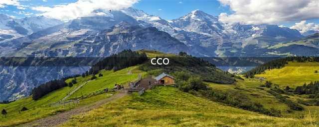 首席合规官：是什么？干什么？(cco)