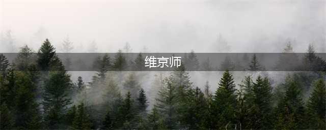 二战德军三大精锐：骷髅师、帝国师及维京师(维京师)