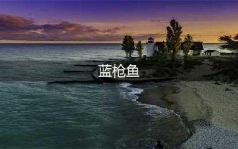 《尼尔人工生命》升级版蓝枪鱼怎么钓 蓝枪鱼获得方法技巧(蓝枪鱼)