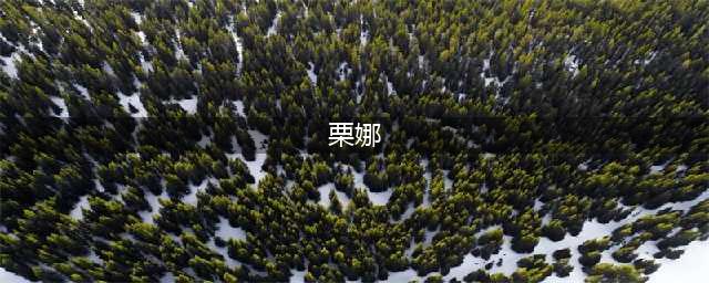栗娜换了50条裙子，升职后穿起了西装…精英律师女子穿衣图鉴(栗娜)