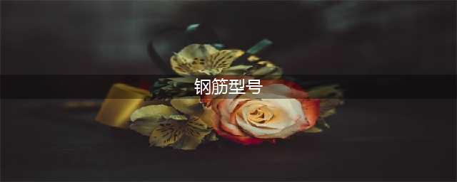 钢筋的型号有哪些？钢筋规格型号详解(钢筋型号)