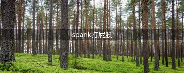 情侣生活中喜欢被打屁股，这什么癖好？(spank打屁股)